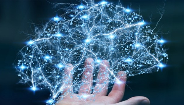 Neurons and voting: the NNS explained